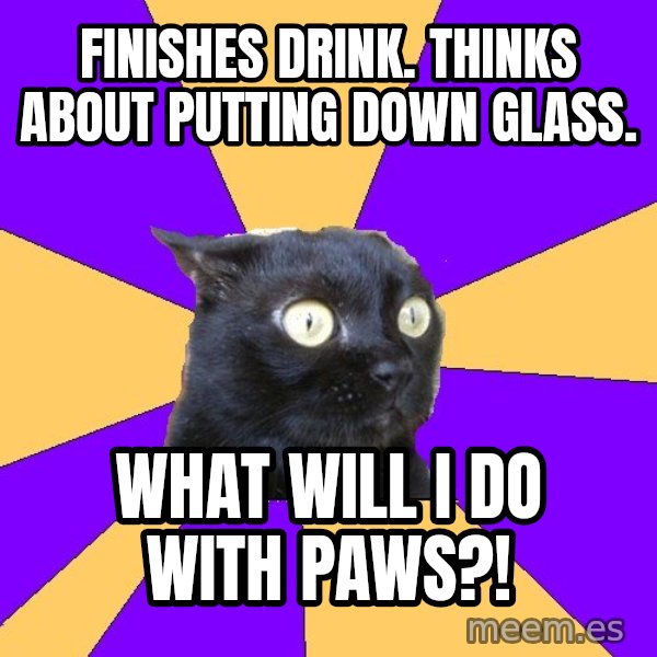 Anxiety Cat meme: Finishes Drink. Thinks about putting down glass. / What will i do with paws?!