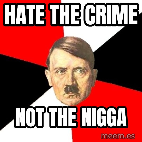 Advice Hitler meme: HATE THE CRIME / NOT THE NIGGA