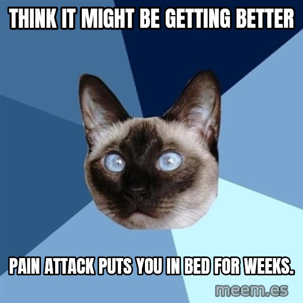 Chronic Illness Cat meme: Think it might be getting better / pain attack puts you in bed for weeks.