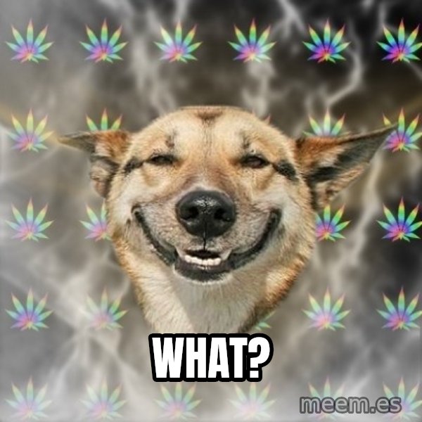Stoner Dog meme: what?