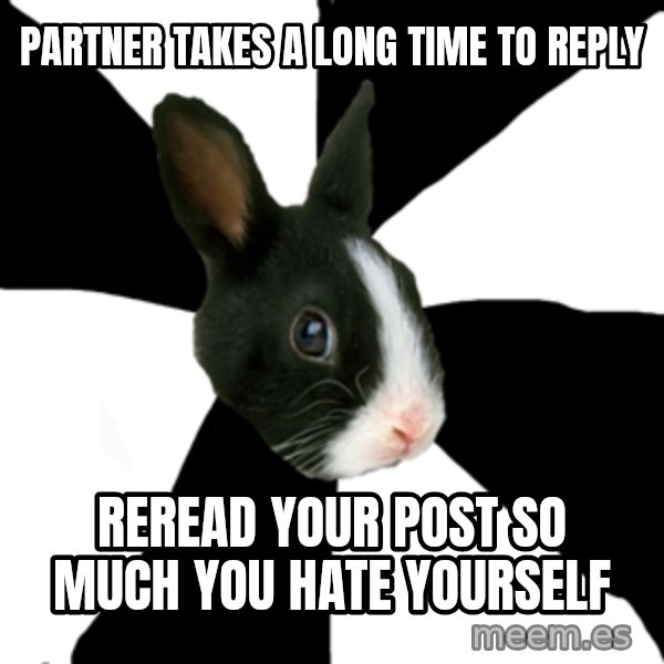 Roleplaying Rabbit meme: partner takes a long time to reply / Reread your post so much you hate yourself