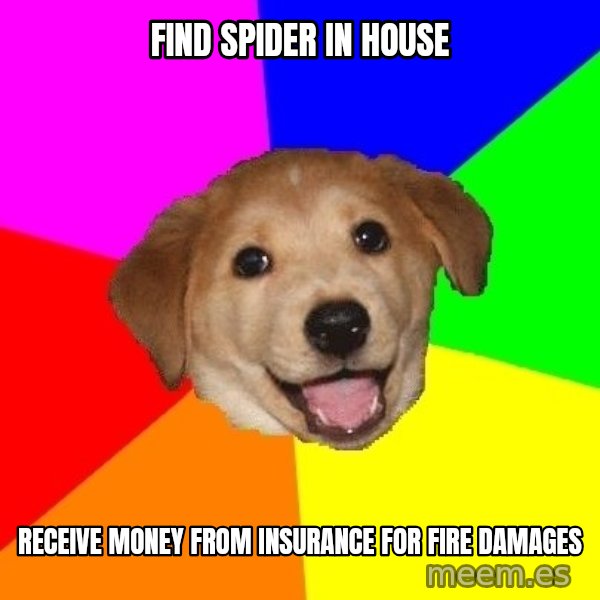 Advice Dog meme: find spider in house / receive money from insurance for fire damages
