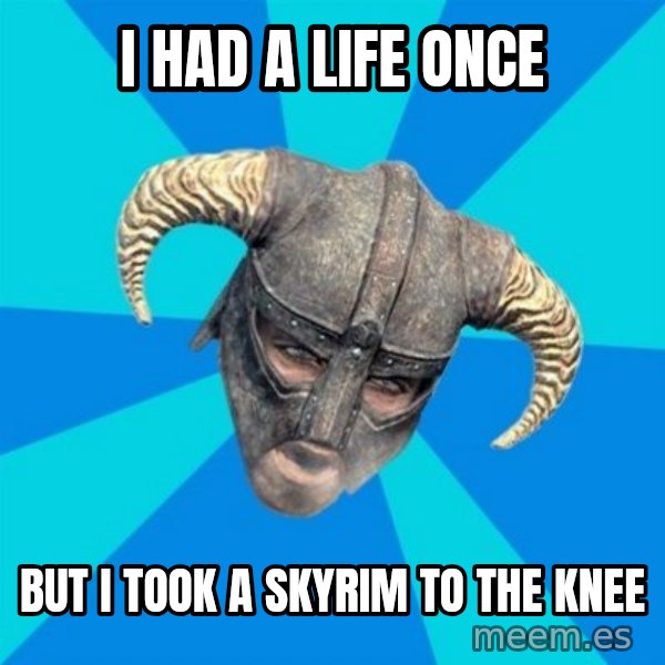 skyrim stan meme: i had a life once / but i took a skyrim to the knee