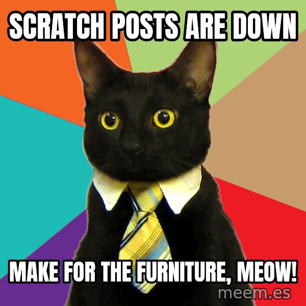 Business Cat meme: scratch posts are down / make for the furniture, meow!