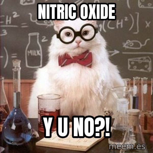 Chemistry Cat meme: nitric oxide / y u no?!