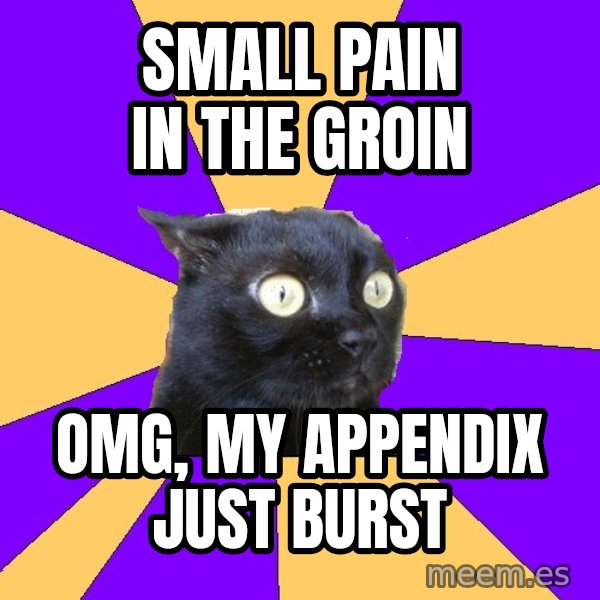 Anxiety Cat meme: Small pain in the groin / omg, my appendix just burst