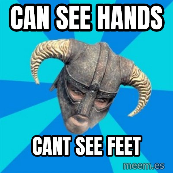 skyrim stan meme: can see hands / cant see feet