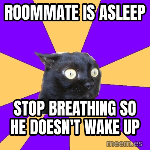Anxiety Cat meme: roommate is asleep / stop breathing so he doesn't wake up