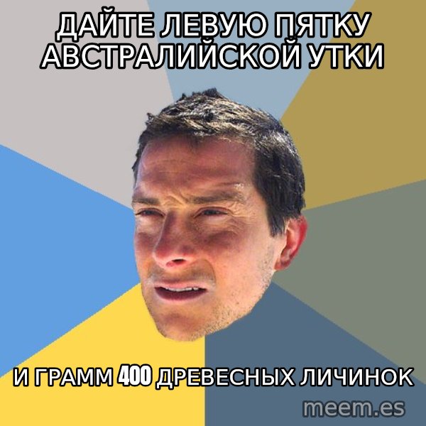 Bear Grylls meme: Дайте левую пятку австралийской утки / И грамм 400 древесных личинок