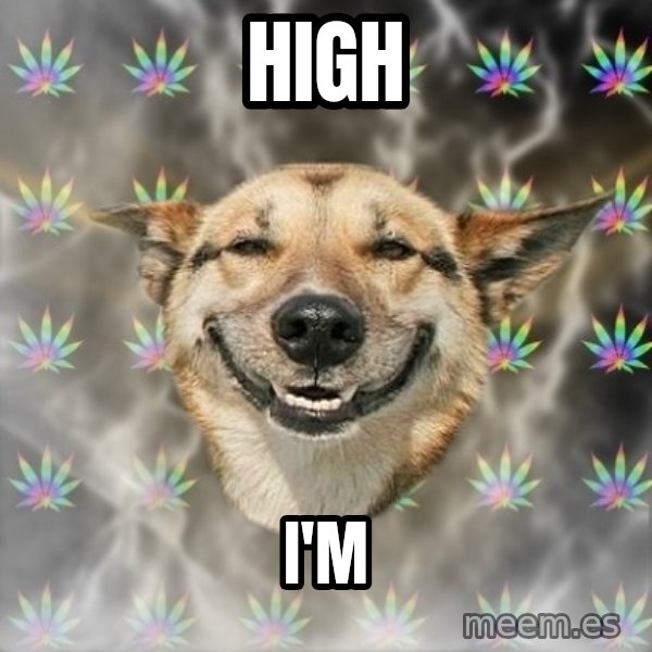 Stoner Dog meme: high / i'm