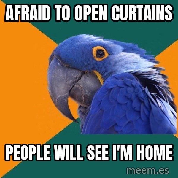 Paranoid Parrot meme: afraid to open curtains / people will see i'm home