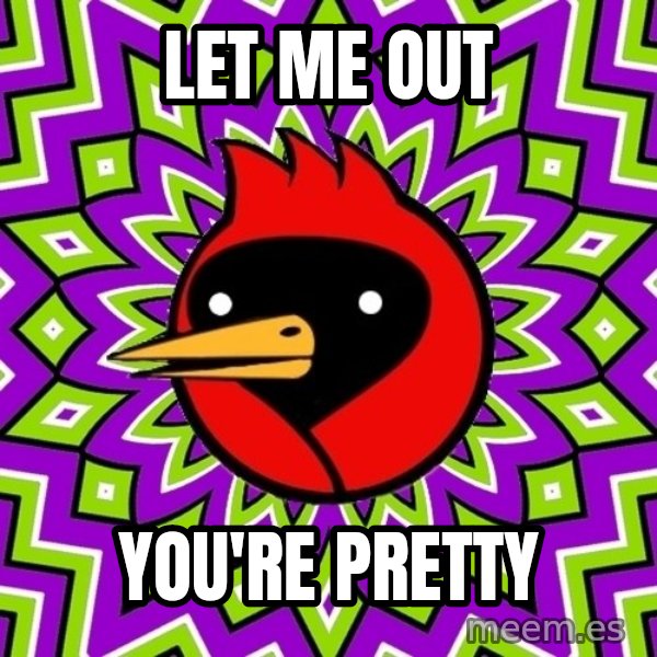 Omsk Crow meme: let me out / you're pretty