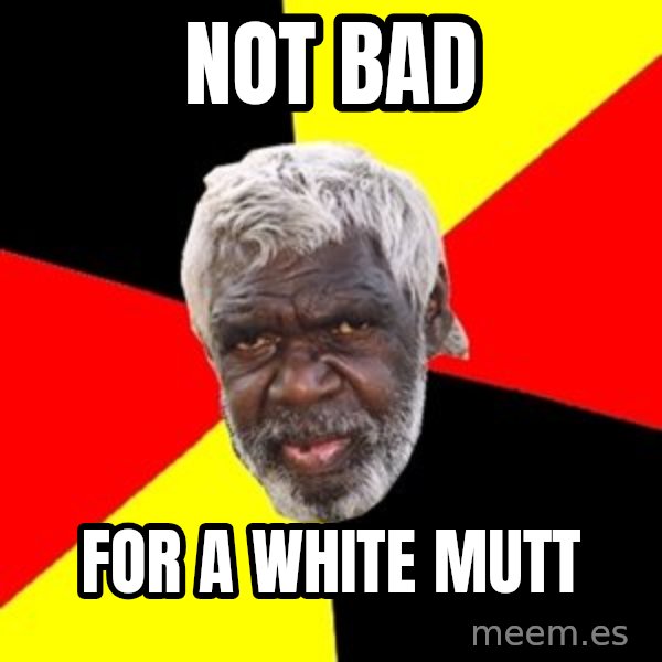 Aboriginal meme: not bad / for a white mutt