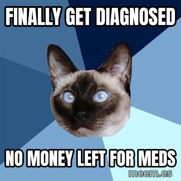 Chronic Illness Cat meme: Finally get diagnosed / no money left for meds