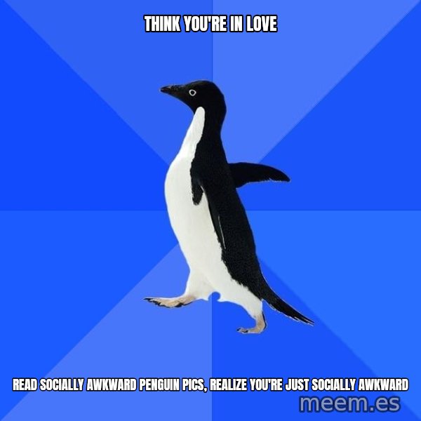 Socially Awkward Penguin meme: think you're in love / read socially awkward penguin pics, realize you're  just socially awkward