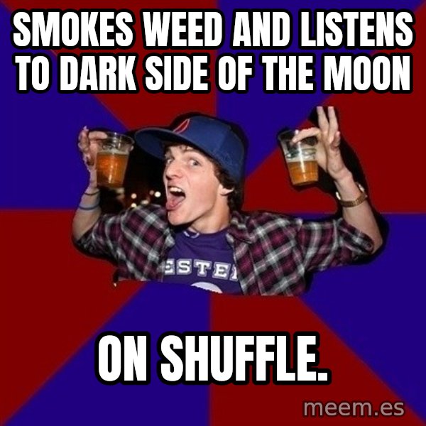 Sunny Student meme: Smokes weed and listens to dark side of the moon / On shuffle.