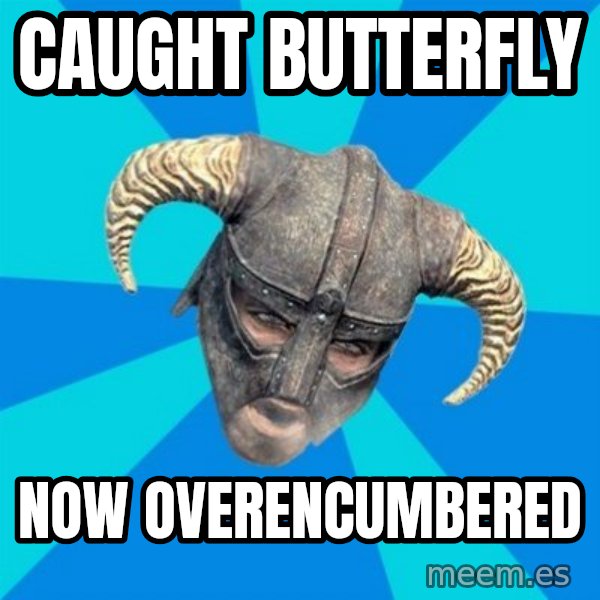 skyrim stan meme: Caught butterfly / now overencumbered