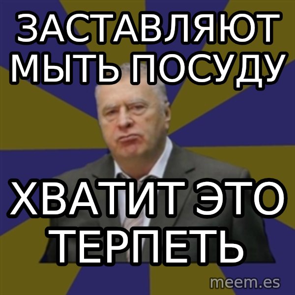 Vladimir Zhirinovsky meme: заставляют мыть посуду / хватит это терпеть