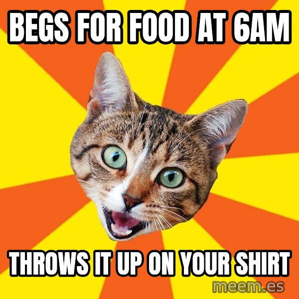 Bad Advice Cat meme: Begs for food at 6am / throws it up on your shirt