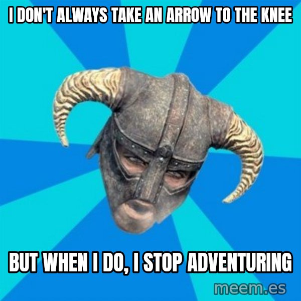 skyrim stan meme: i don't always take an arrow to the knee / but when i do, i stop adventuring