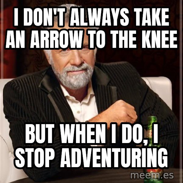 The Most Interesting Man In The World meme: I don't always take an arrow to the knee / but when I do, i stop adventuring
