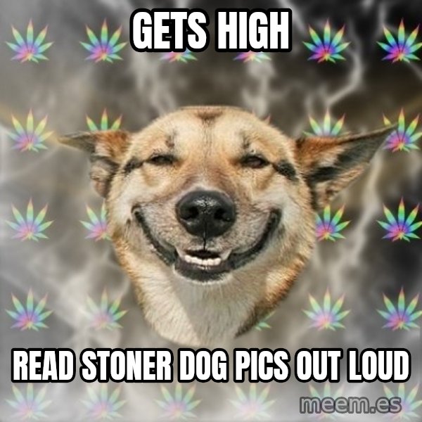 Stoner Dog meme: Gets high / read stoner dog pics out loud