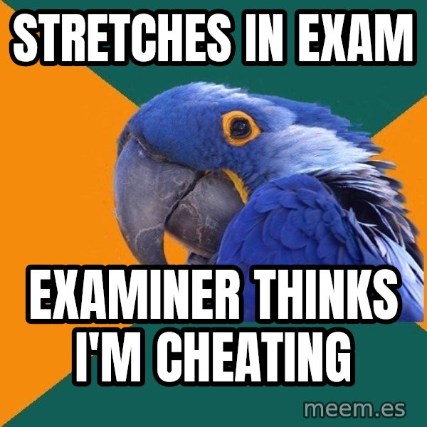 Paranoid Parrot meme: STREtCHES in exam / examiner thinks i'm cheating