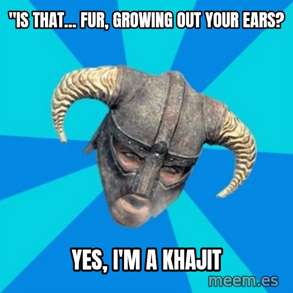 skyrim stan meme: "Is that... fur, growing out your ears? / Yes, I'm a khajit