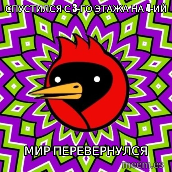 Omsk Crow meme: спустился с 3-го этажа на 4-ий / мир перевернулся