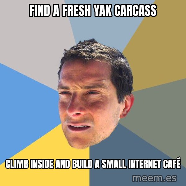 Bear Grylls meme: find a fresh yak carcass / climb inside and build a small internet café