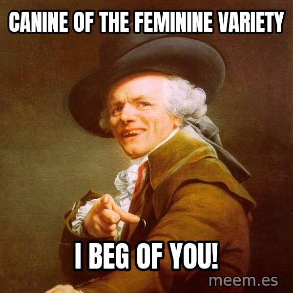 Joseph Ducreux meme: Canine of the feminine variety / I beg of you!