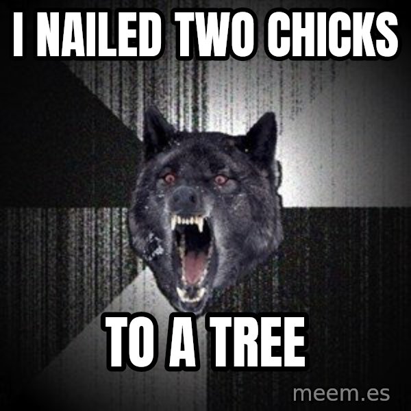 Insanity Wolf meme: I NAILED TWO CHICKS / TO A TREE