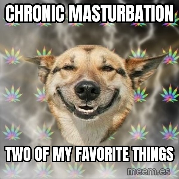 Stoner Dog meme: Chronic Masturbation / two of my favorite things