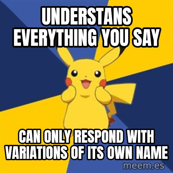 Pokemon Logic  meme: Understans everything you say / can only respond with variations of its own name
