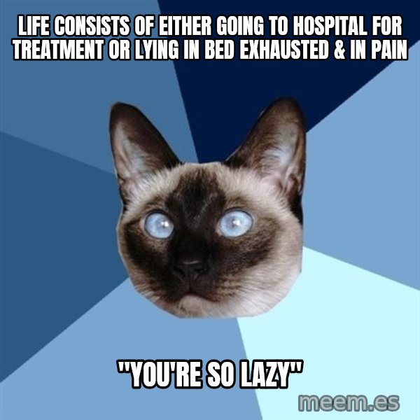 Chronic Illness Cat meme: Life consists of either going to hospital for treatment or lying in bed exhausted & in pain / "You're so lazy"