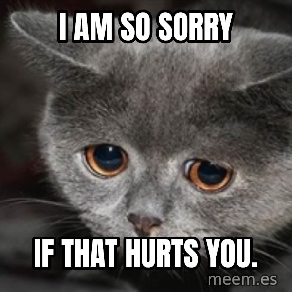 Sadcat meme: I am so sorry / if that hurts you.