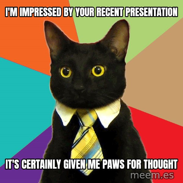 Business Cat meme: I'm impressed by your recent presentation / it's certainly given me paws for thought
