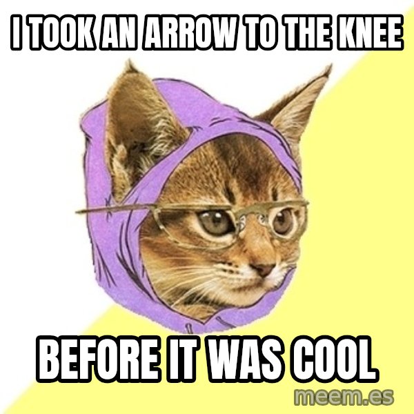 Hipster Kitty meme: i took an arrow to the knee / before it was cool