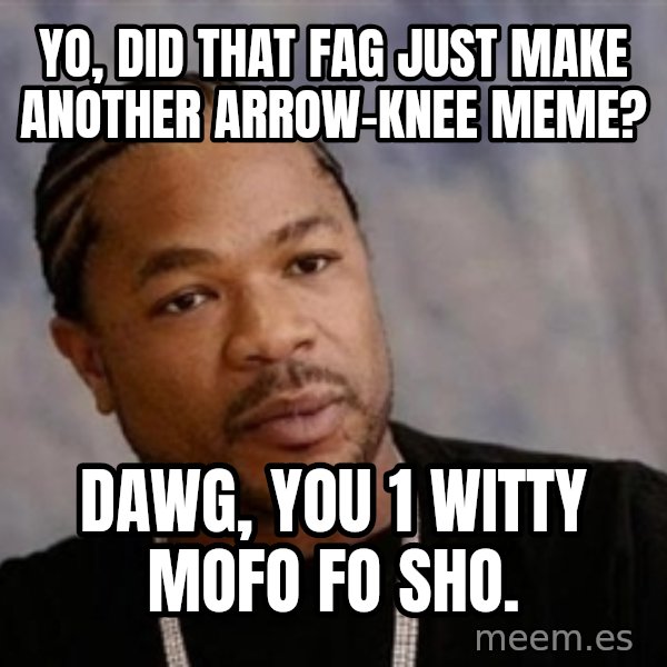 Yo Dawg meme: yo, did that fag just make another arrow-knee meme? / dawg, you 1 witty mofo fo sho.