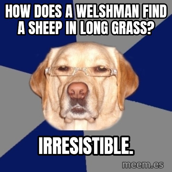 Racist Dog meme: how does a welshman find a sheep in long grass? / irresistible.