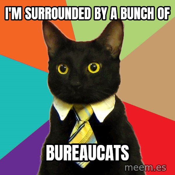 Business Cat meme: I'm Surrounded by a bunch of / Bureaucats