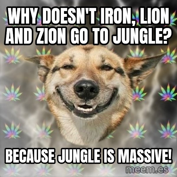 Stoner Dog meme: Why doesn't iron, lion and zion go to jungle? / because jungle is massive!