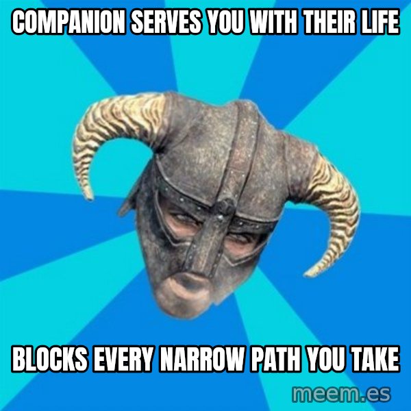 skyrim stan meme: Companion serves you with their life / blocks every narrow path you take