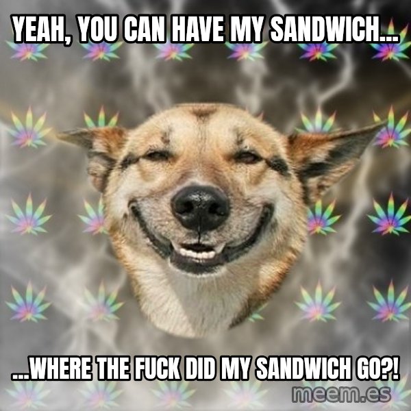 Stoner Dog meme: Yeah, you can have my sandwich... / ...where the fuck did my sandwich Go?!
