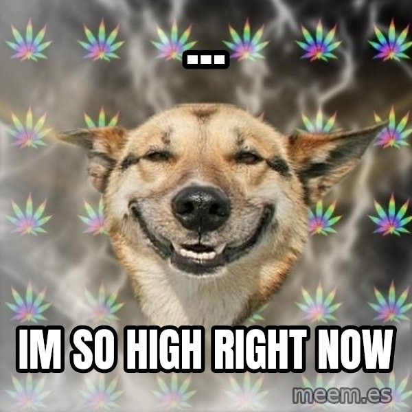 Stoner Dog meme: ... / im so high right now