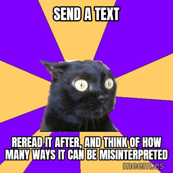 Anxiety Cat meme: Send a text / Reread it after, and think of how many waYs It can be misinterpreteD