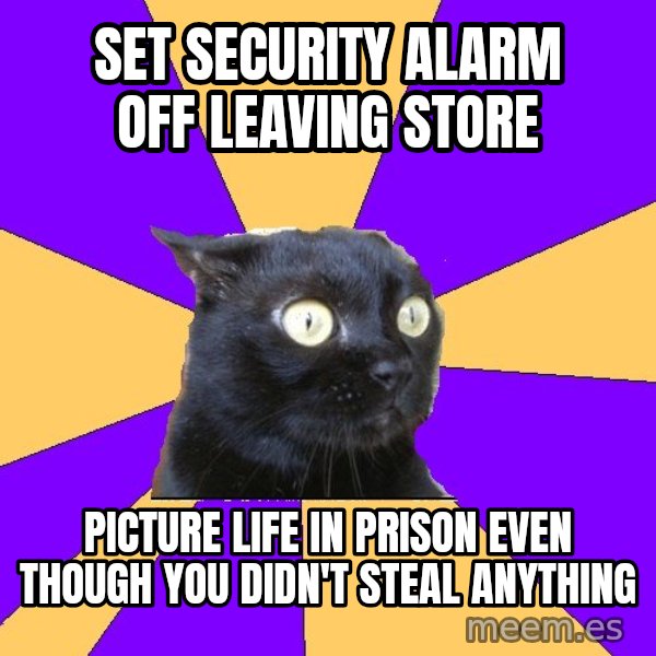 Anxiety Cat meme: Set security alarm Off leaving store / Picture life in prison even though you didn't steal anything