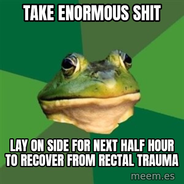 Foul Bachelor Frog meme: take enormous shit / lay on side for next half hour to recover from rectal trauma