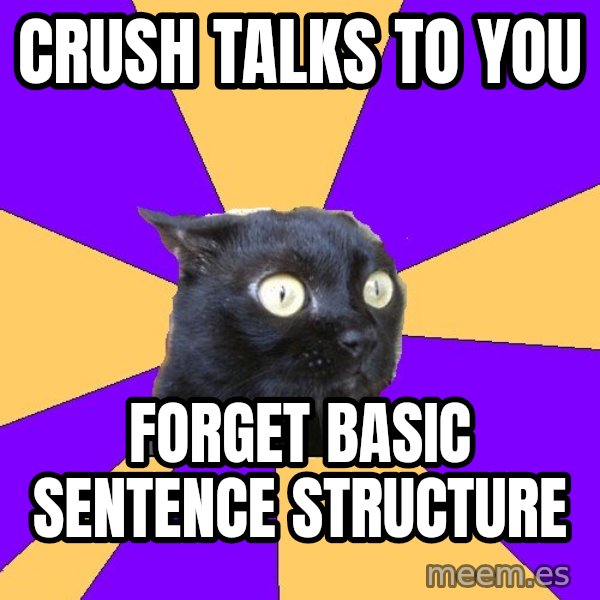 Anxiety Cat meme: Crush talks to you / forget basic sentence structure