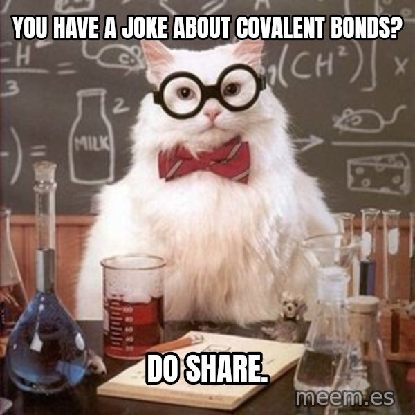 Chemistry Cat meme: You have a joke about covalent bonds? / do share.